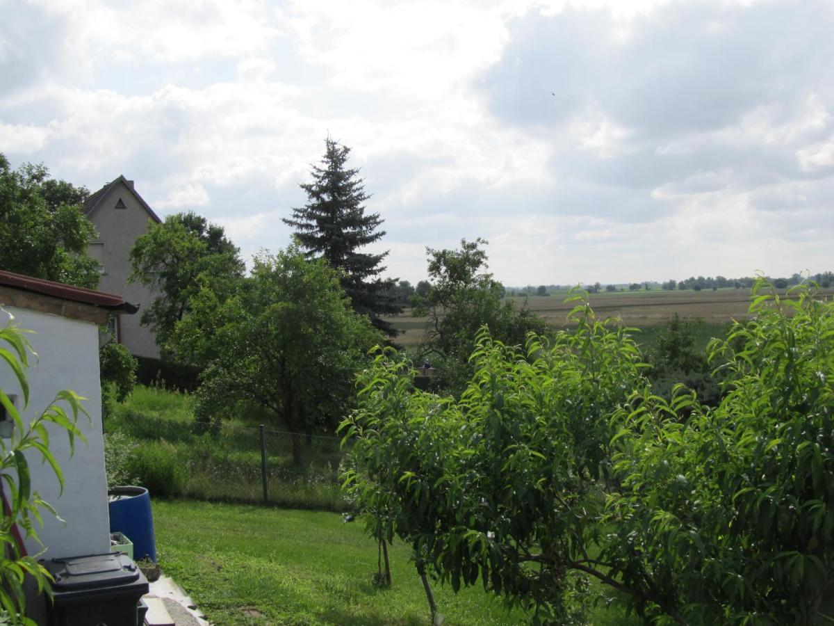 Zum Wiesengrund Im Oderbruch Altglietzen Exterior photo