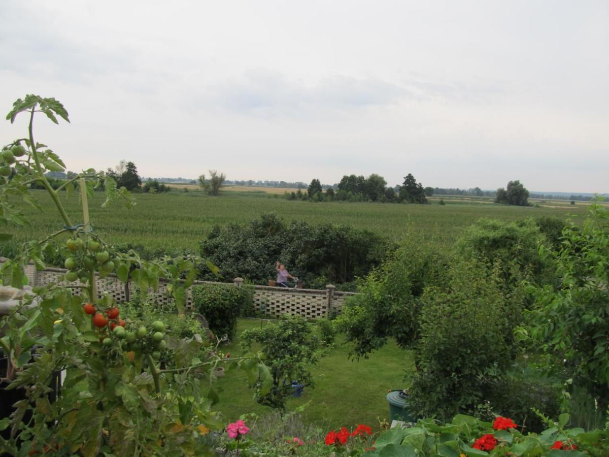 Zum Wiesengrund Im Oderbruch Altglietzen Exterior photo